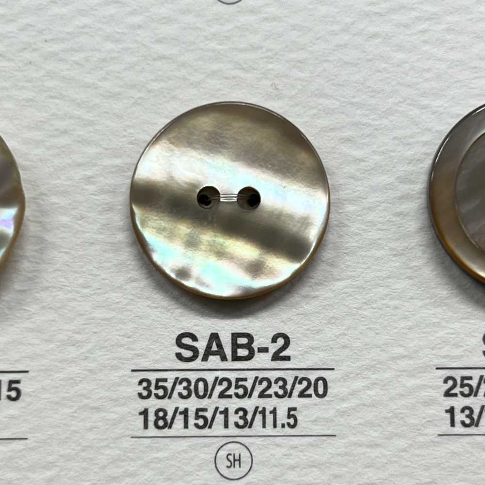 SAB2 천연 소재 조개 2 구멍 윤기있는 단추 IRIS