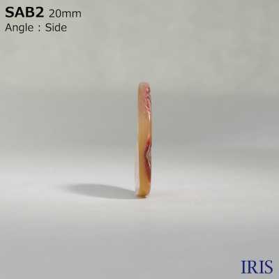 SAB2 천연 소재 조개 2 구멍 윤기있는 단추 IRIS 서브 사진
