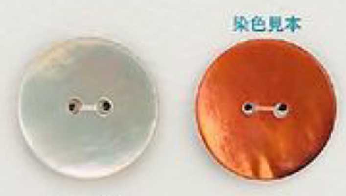 UAK1 천연 소재 쉘 염색 표 구멍 2 구멍 윤기있는 단추 IRIS 서브 사진