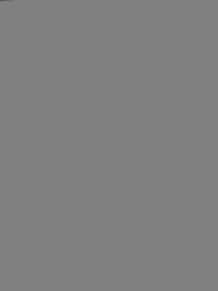 KKF8585-55 시어서커 스트레치 광포[원단] 우니 섬유 서브 사진