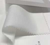 6520 20 / - CLEANSE 싱글 다이마루[원단] Fujisaki Textile 서브 사진