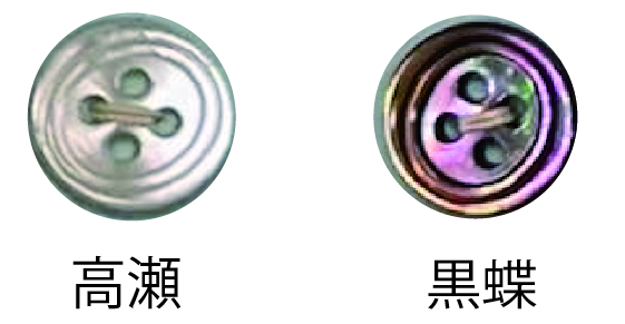 3500 4홀 쉘 쉘 버튼[단추] 토모이(TOMOI)