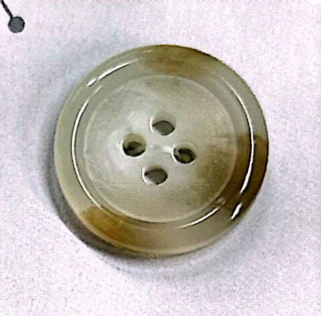 SCOTCH161 【물소 톤】 4 개의 구멍 단추 있음 광택 있음 NITTO Button