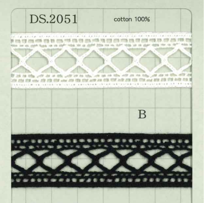 DS2051 사다리 레이스 폭: 21mm 다이사다(DAISADA)