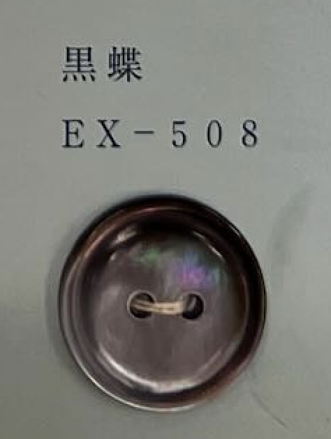 EX508 2개의 구멍, 테두리, 쉘 버튼[단추] 토모이