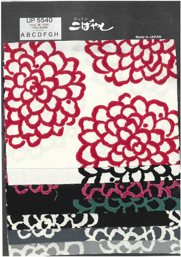 UP5540 트윌 다리아 프린트[원단] 코튼 코바야시