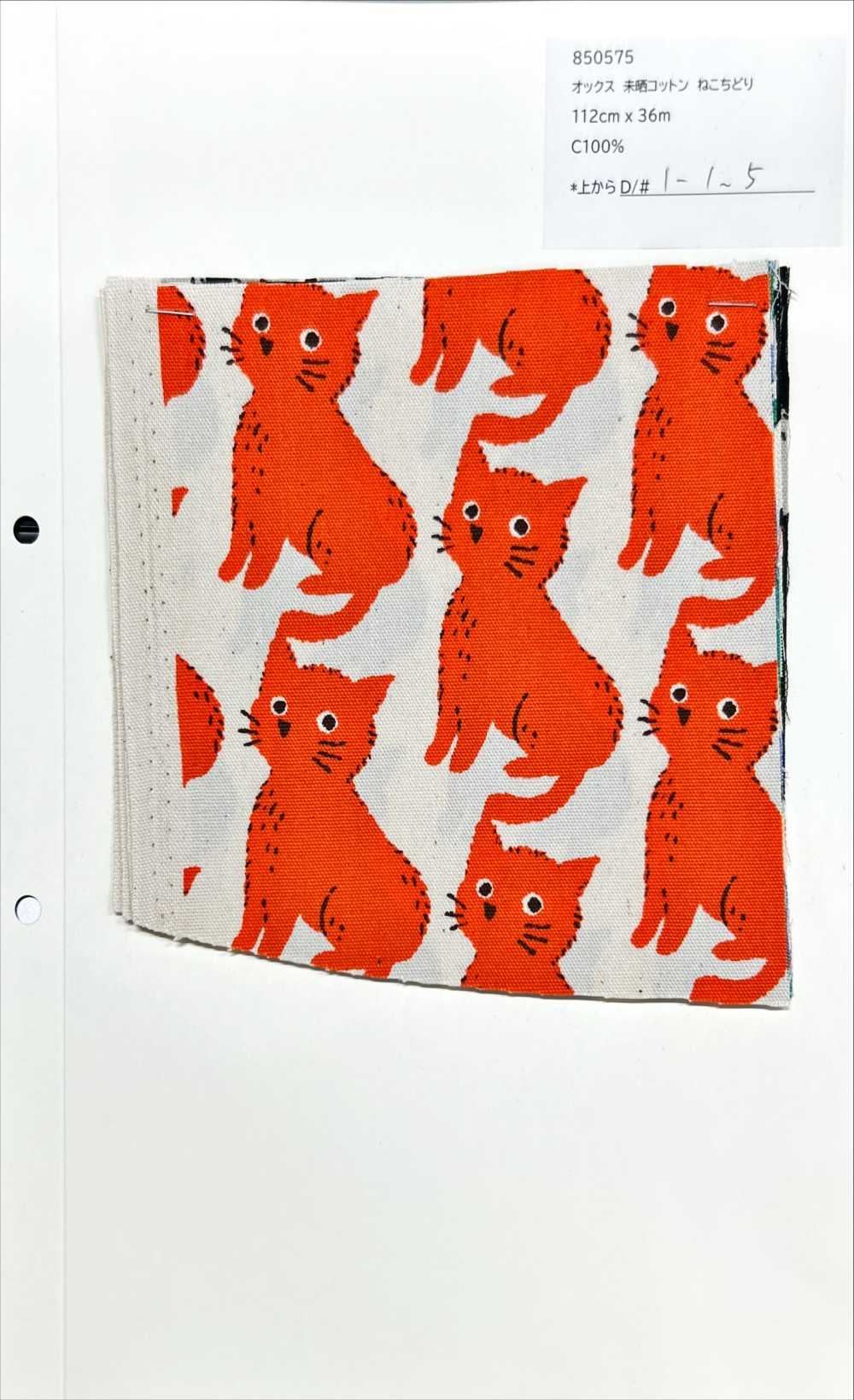 850575 표백되지 않은 옥스포드 코튼 캣 앤 치도리[원단] VANCET