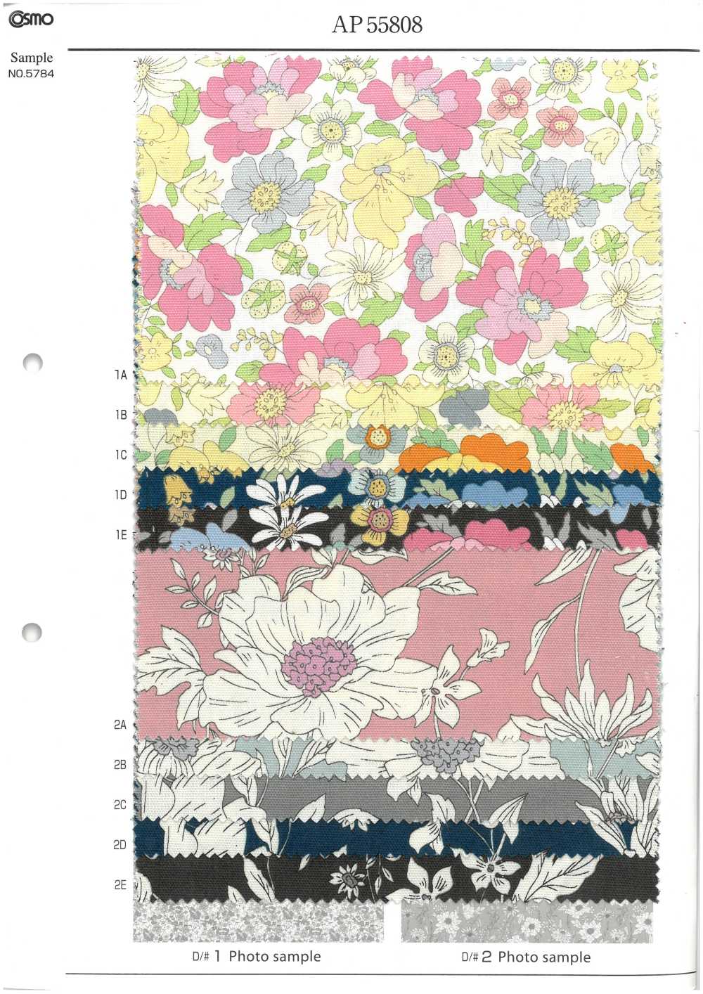 AP55808 에센셜 그레이스 2 옥스포드(라운드)[원단] COSMO TEXTILE