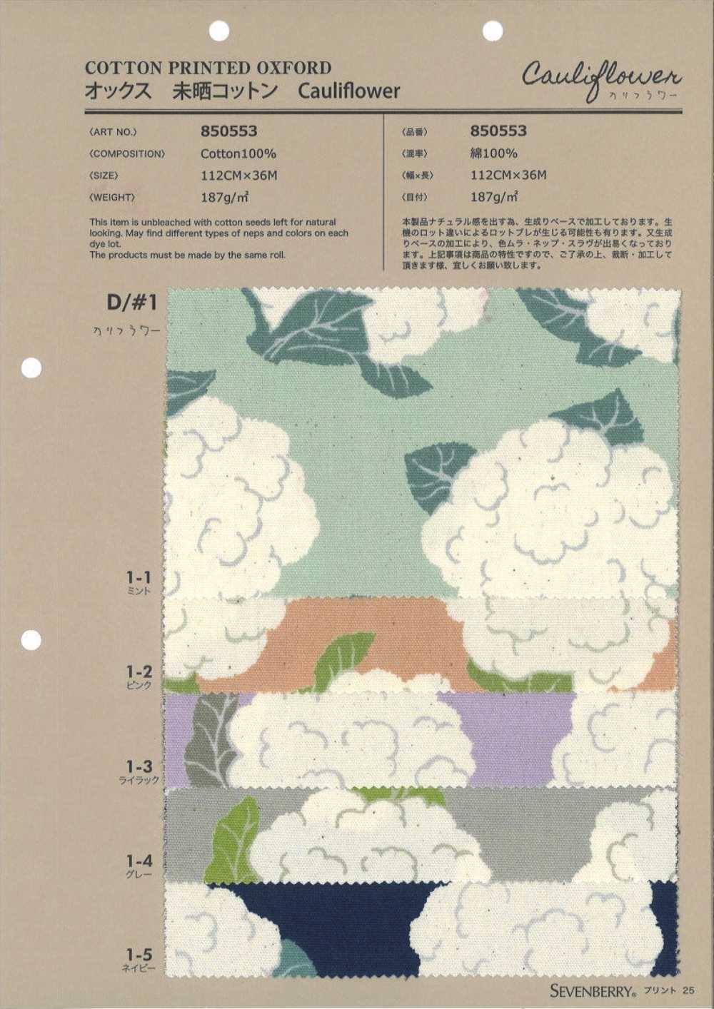 850553 표백하지 않은 옥스포드 코튼 콜리플라워[원단] VANCET