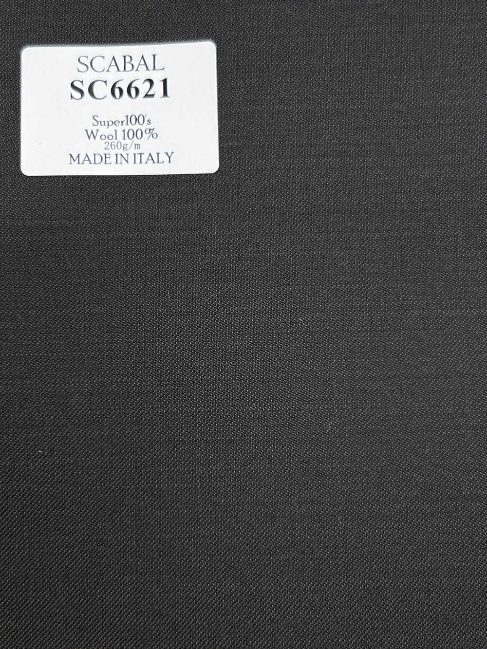SC6621 SCABAL Super120'S 브라운 무지[원단] 호소이 쇼지 주식회사