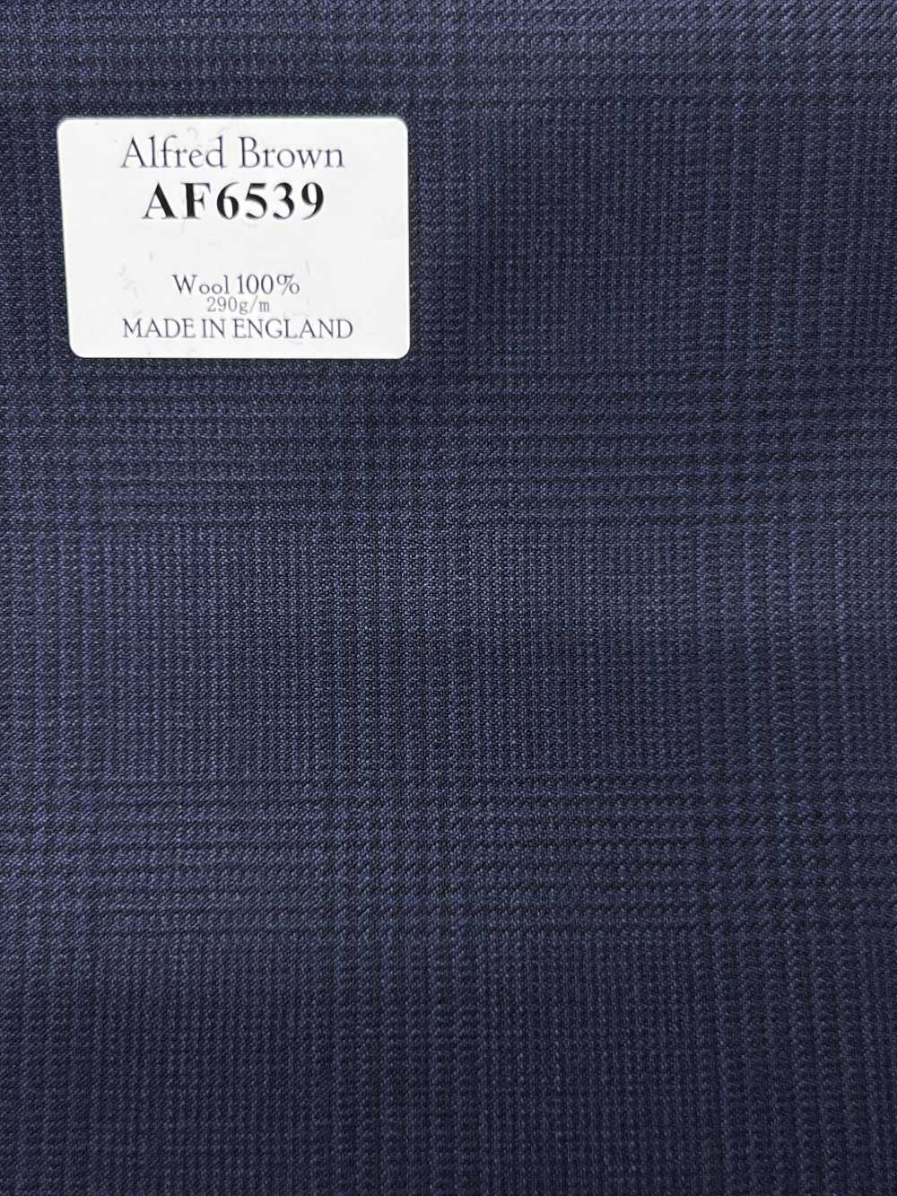 AF6539 Alfred Brown 네이비 블루 체크[원단] 호소이 쇼지 주식회사
