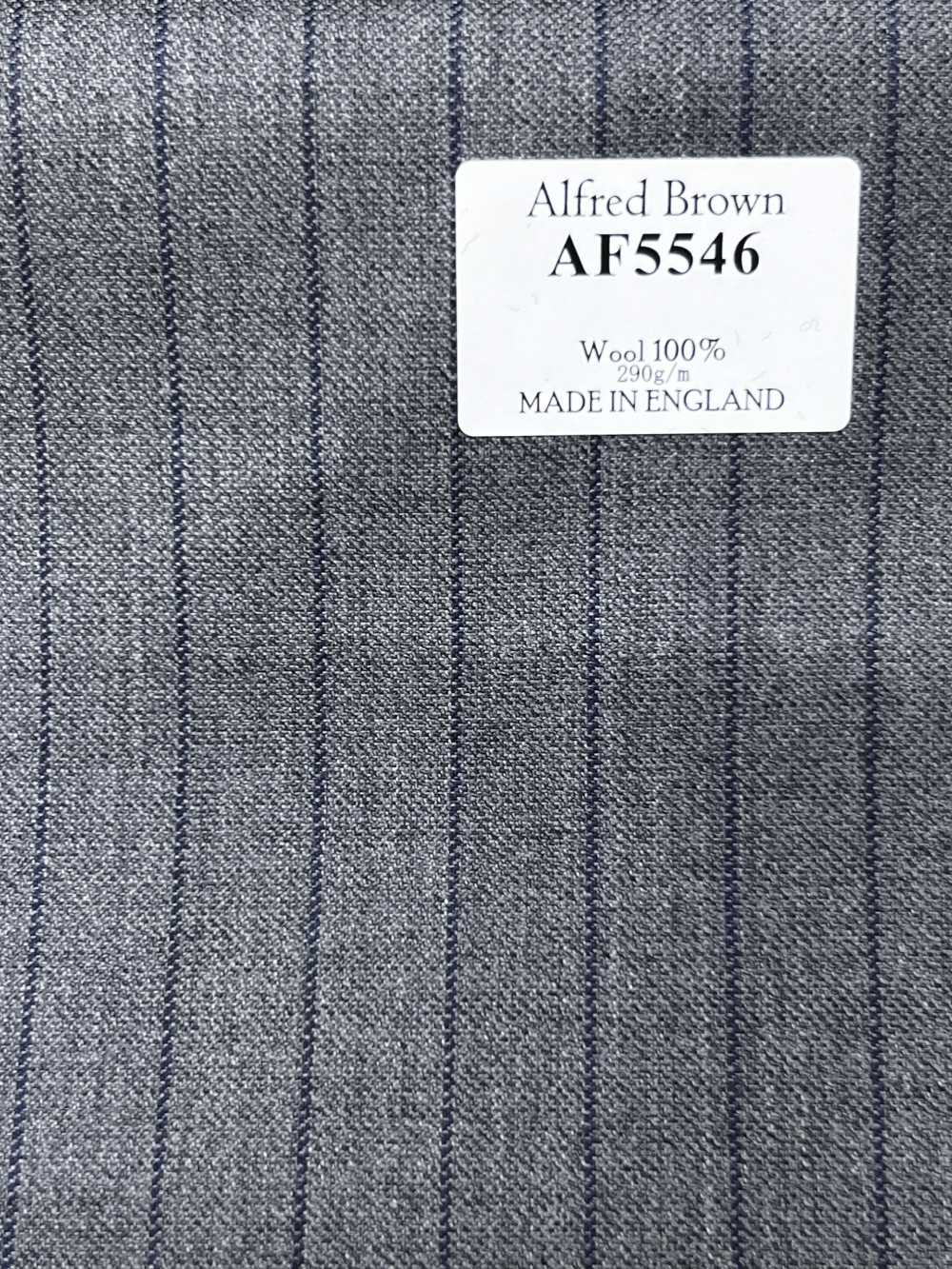 AF5546 Alfred Brown 그레이×네이비블루 스트라이프[원단] 호소이 쇼지 주식회사