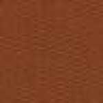 모카 오렌지