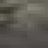 올리브그레이