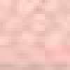 플라밍고 핑크 플라밍고 핑크