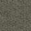 카키 카키