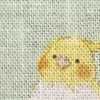 파우더 그린 잉꼬