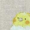 파우더핑크 잉꼬 파우더핑크 잉꼬