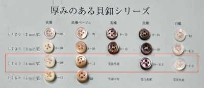 1740 앞면 4구멍 테두리 있음 쉘버튼 두께 4mm