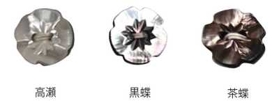 500 두 구멍 매화꽃 쉘버튼