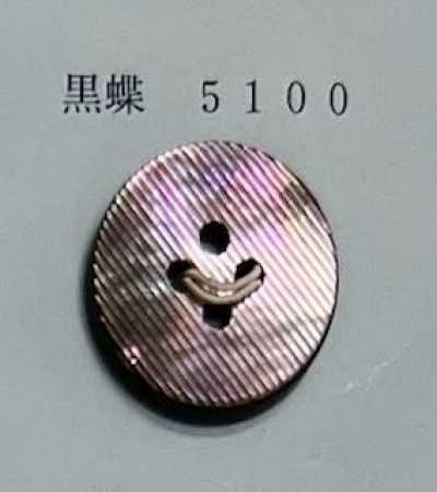 5100 테두리 없는 4구멍 흑조개 쉘버튼