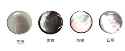601P 폴리 다리 쉘버튼