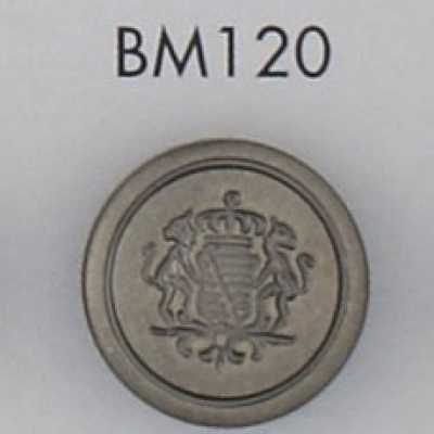 BM120 ABS수지 도금 단추