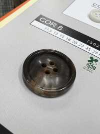 COR8 【물소조】4구멍 단추 있음 NITTO Button 서브 사진