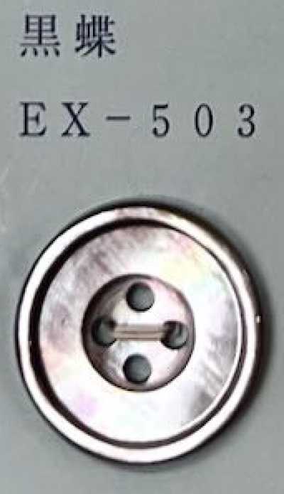 EX503 4구멍 테두리 있음 흑조개 쉘버튼