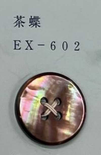 EX602 4구멍 차나비 쉘버튼