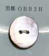 OBB2H 2개의 구멍, 테두리 없음, 쉘 버튼