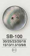 SB100 쉘버튼