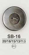 SB16 쉘버튼