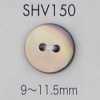 SHV150 2구멍 쉘버튼
