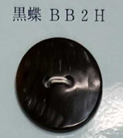 BB2H 2구멍 테두리 없는 흑나비 쉘버튼