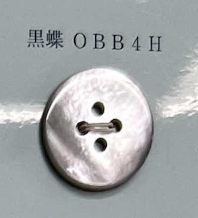 OBB4H 4구멍 무테 흑나비 쉘버튼