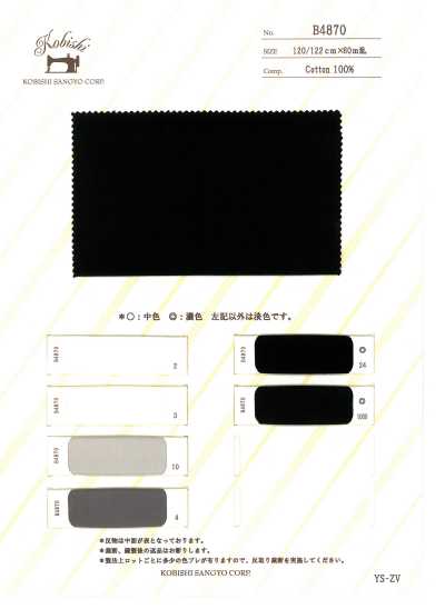 B4870 주자 슬레이키