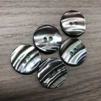 KMX-104 2 홀 매트 쉘버튼[단추] Sakamoto Saiji Shoten 서브 사진