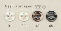 MS8 DAIYA BUTTONS 조개풍 폴리에스테르 단추