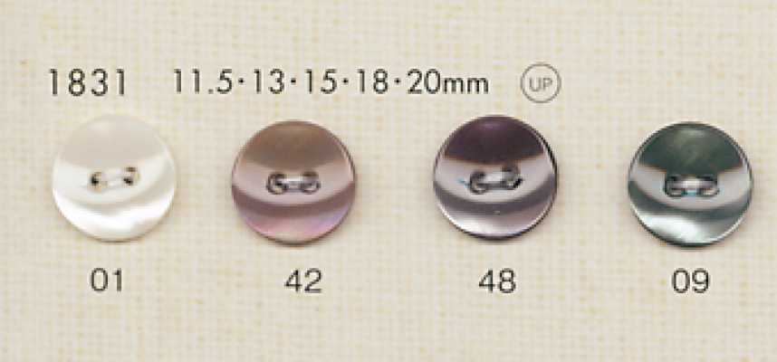 1831 DAIYA BUTTONS 조개모양 폴리에스테르 단추