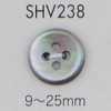 SHV238 4구멍 쉘버튼