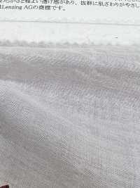 16599 텐셀 (TM) 모달 섬유 / 코튼 셔링 타탄[원단] SUNWELL 서브 사진