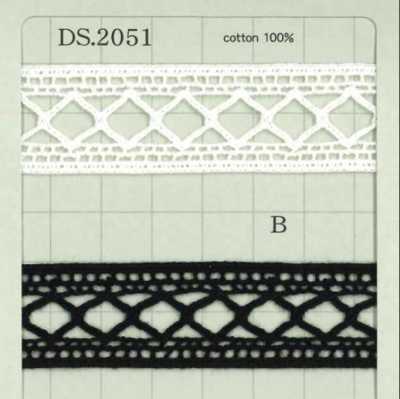 DS2051 사다리 레이스 폭: 21mm