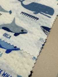 82158 세븐베리® 리플 크로스 더 씨 이즈 어 맨 로맨스 웨일[원단] VANCET 서브 사진