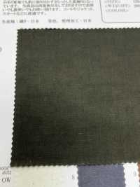 OSDC40332 Supima Cotton 80/1 & French Linen 1/60 2/1 Super Twill Sillky-Finish 양면검 롤 완료(역방향) (오프 화이트)[원단] Oharayaseni 서브 사진