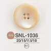 SNL1036 다카세조개제 앞면 4구멍 단추