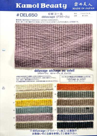 DEL650 6W코듀로이 delavage