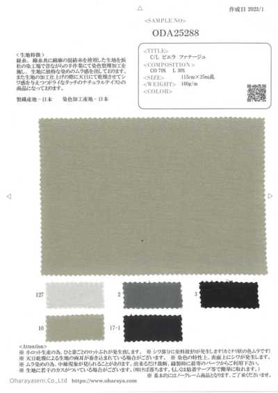 ODA25288 C/L 비엘라 파나주