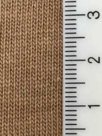 FJ230200 매우 성숙한 코튼 저지[원단] Fujisaki Textile 서브 사진