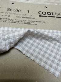 S6100 COOLMAX® 니트 시어서커[원단] Fujisaki Textile 서브 사진